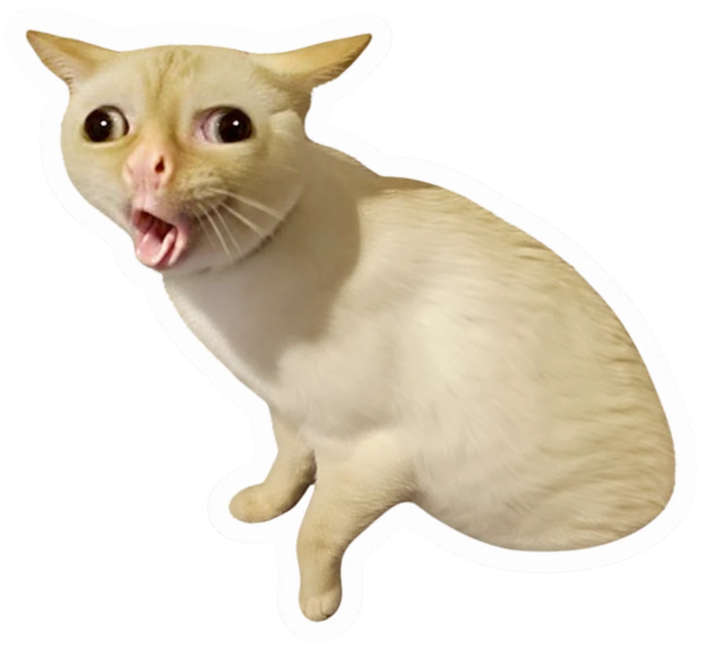 Sticker photo d’un chat qui crie, détouré avec une bordure blanche